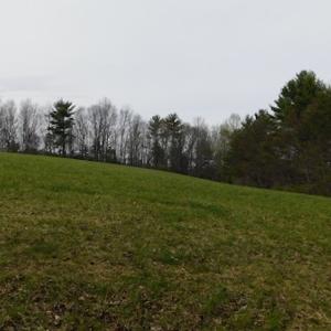 Photo #38 of SOLD property in Off Sylvatus Hwy, Hillsville, VA 42.4 acres