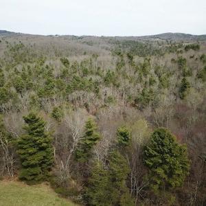 Photo #3 of SOLD property in Off Sylvatus Hwy, Hillsville, VA 42.4 acres