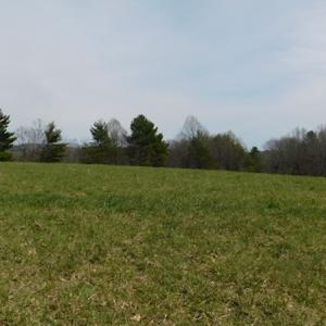 Photo #4 of SOLD property in Off Sylvatus Hwy, Hillsville, VA 42.4 acres