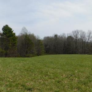 Photo #5 of SOLD property in Off Sylvatus Hwy, Hillsville, VA 42.4 acres