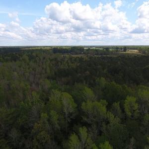 Photo #3 of SOLD property in Near 5727 Red Hill Road, Whiteville, NC 71.2 acres
