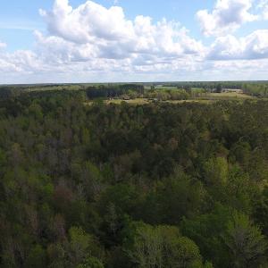 Photo #2 of SOLD property in Near 5727 Red Hill Road, Whiteville, NC 71.2 acres