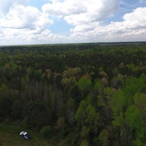 Photo #7 of SOLD property in Near 5727 Red Hill Road, Whiteville, NC 71.2 acres