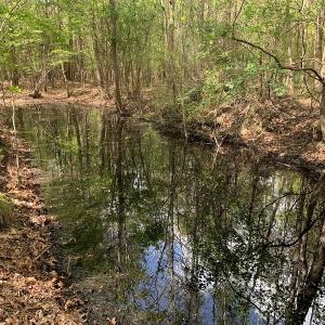 Photo #12 of SOLD property in Near 5727 Red Hill Road, Whiteville, NC 71.2 acres
