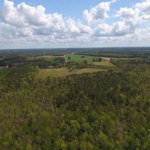 Photo #4 of SOLD property in Near 5727 Red Hill Road, Whiteville, NC 71.2 acres