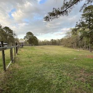 Photo #13 of 30075 Meherrin Road, Boykins, VA 126.0 acres