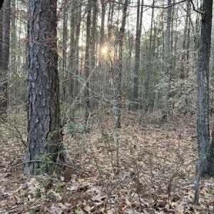 Photo #18 of 30075 Meherrin Road, Boykins, VA 126.0 acres
