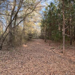 Photo #19 of 30075 Meherrin Road, Boykins, VA 126.0 acres
