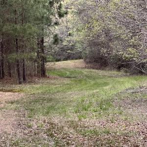 Photo #23 of 30075 Meherrin Road, Boykins, VA 126.0 acres