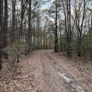 Photo #25 of 30075 Meherrin Road, Boykins, VA 126.0 acres