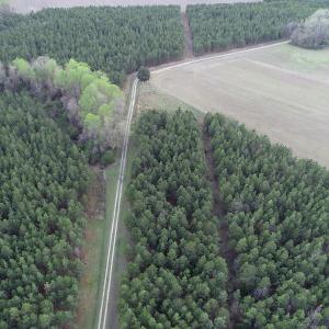 Photo #27 of 30075 Meherrin Road, Boykins, VA 126.0 acres