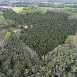 Photo #32 of 30075 Meherrin Road, Boykins, VA 126.0 acres