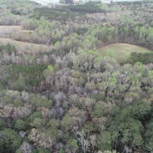 Photo #35 of 30075 Meherrin Road, Boykins, VA 126.0 acres