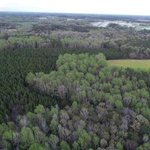 Photo #37 of 30075 Meherrin Road, Boykins, VA 126.0 acres