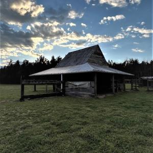 Photo #6 of 30075 Meherrin Road, Boykins, VA 126.0 acres