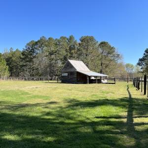 Photo #7 of 30075 Meherrin Road, Boykins, VA 126.0 acres