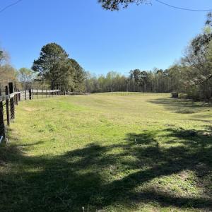 Photo #8 of 30075 Meherrin Road, Boykins, VA 126.0 acres