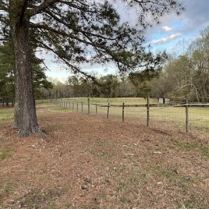 Photo #10 of 30075 Meherrin Road, Boykins, VA 126.0 acres