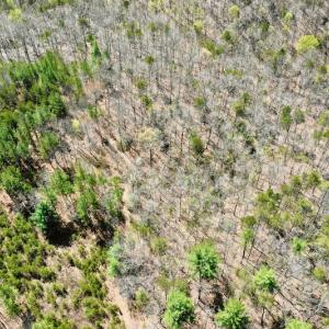 Photo #11 of SOLD property in Off Overlook Court Lot 83, Pittsville, VA 1.5 acres