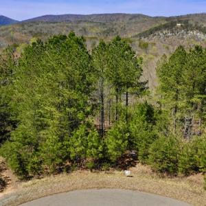 Photo #13 of SOLD property in Off Overlook Court Lot 83, Pittsville, VA 1.5 acres