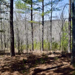 Photo #14 of SOLD property in Off Overlook Court Lot 83, Pittsville, VA 1.5 acres