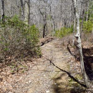 Photo #17 of SOLD property in Off Overlook Court Lot 83, Pittsville, VA 1.5 acres