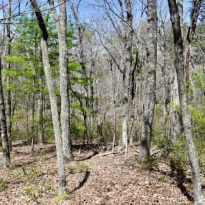 Photo #18 of SOLD property in Off Overlook Court Lot 83, Pittsville, VA 1.5 acres