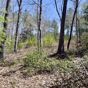 Photo #19 of SOLD property in Off Overlook Court Lot 83, Pittsville, VA 1.5 acres