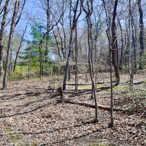 Photo #20 of SOLD property in Off Overlook Court Lot 83, Pittsville, VA 1.5 acres