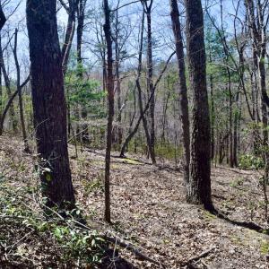Photo #21 of SOLD property in Off Overlook Court Lot 83, Pittsville, VA 1.5 acres