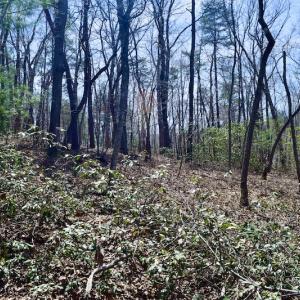 Photo #22 of SOLD property in Off Overlook Court Lot 83, Pittsville, VA 1.5 acres