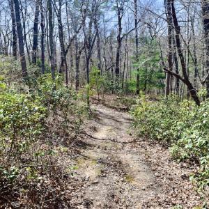 Photo #23 of SOLD property in Off Overlook Court Lot 83, Pittsville, VA 1.5 acres