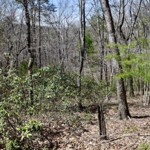 Photo #24 of SOLD property in Off Overlook Court Lot 83, Pittsville, VA 1.5 acres