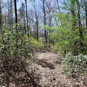 Photo #25 of SOLD property in Off Overlook Court Lot 83, Pittsville, VA 1.5 acres