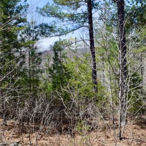 Photo #28 of SOLD property in Off Overlook Court Lot 83, Pittsville, VA 1.5 acres