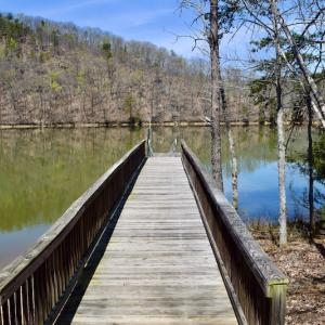 Photo #30 of SOLD property in Off Overlook Court Lot 83, Pittsville, VA 1.5 acres