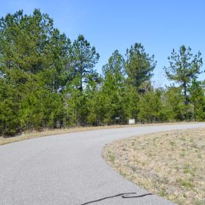 Photo #4 of SOLD property in Off Overlook Court Lot 83, Pittsville, VA 1.5 acres