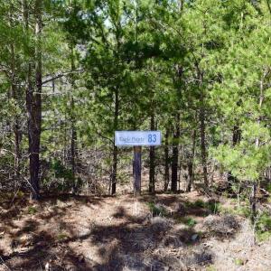 Photo #5 of SOLD property in Off Overlook Court Lot 83, Pittsville, VA 1.5 acres