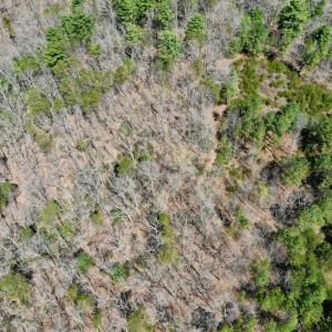 Photo #10 of SOLD property in Off Overlook Court Lot 83, Pittsville, VA 1.5 acres