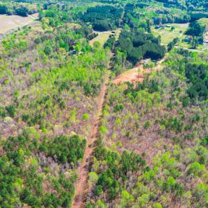 Photo #12 of SOLD property in Off Julie McKnight Road, Kittrell, NC 12.2 acres