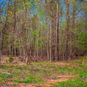 Photo #18 of SOLD property in Off Julie McKnight Road, Kittrell, NC 12.2 acres