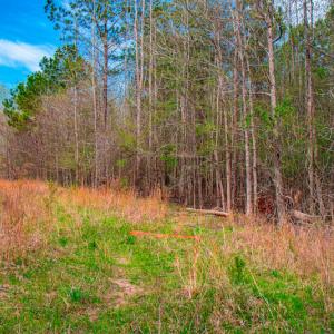 Photo #25 of SOLD property in Off Julie McKnight Road, Kittrell, NC 12.2 acres