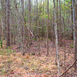 Photo #27 of SOLD property in Off Julie McKnight Road, Kittrell, NC 12.2 acres