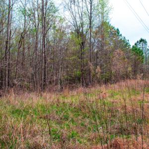 Photo #28 of SOLD property in Off Julie McKnight Road, Kittrell, NC 12.2 acres