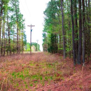 Photo #29 of SOLD property in Off Julie McKnight Road, Kittrell, NC 12.2 acres