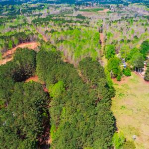Photo #4 of SOLD property in Off Julie McKnight Road, Kittrell, NC 12.2 acres