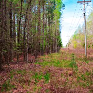 Photo #30 of SOLD property in Off Julie McKnight Road, Kittrell, NC 12.2 acres