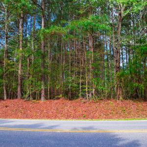 Photo #33 of SOLD property in Off Julie McKnight Road, Kittrell, NC 12.2 acres