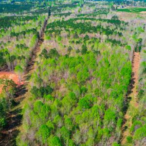 Photo #5 of SOLD property in Off Julie McKnight Road, Kittrell, NC 12.2 acres