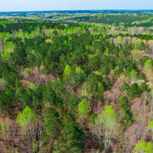 Photo #6 of SOLD property in Off Julie McKnight Road, Kittrell, NC 12.2 acres
